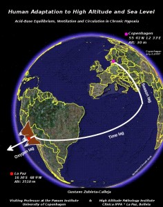 Human Adaptation to High Altitude and Sea Level