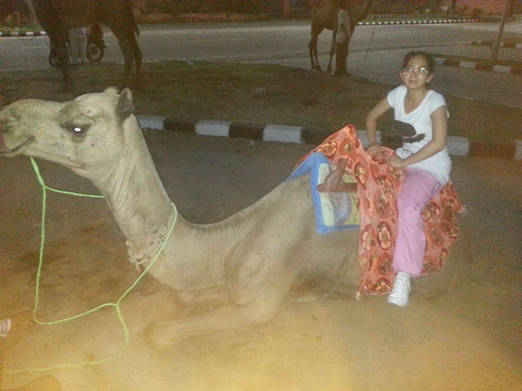 A camel ride !!!