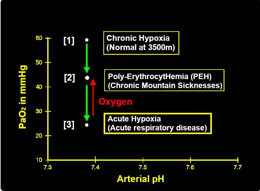 The Triple Hypoxia Syndrome (THS)